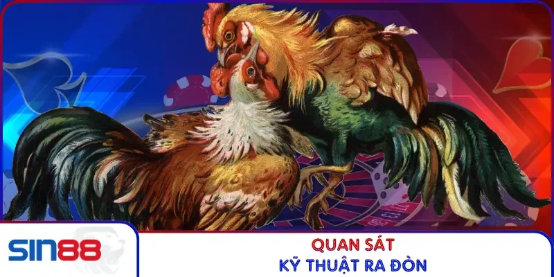 Quan sát kỹ thuật ra đòn